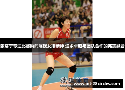 张常宁专注比赛瞬间展现女排精神 追求卓越与团队合作的完美融合